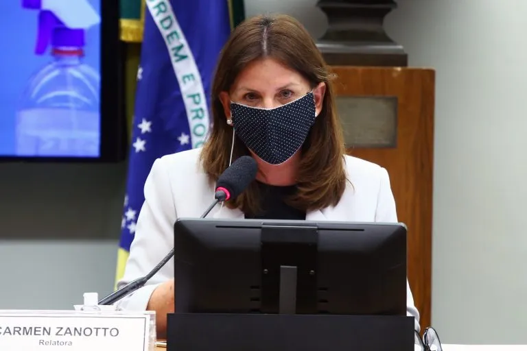 deputada Carmen Zanotto, relatora da comissão externa