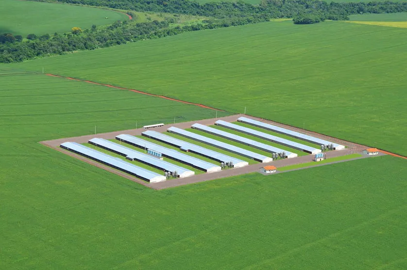 Descomplica Rural ajuda a manter atividades no campo durante a crise