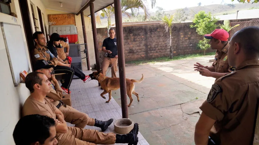 Integrantes de Canis Setoriais participam de instrução de faro de drogas e armas