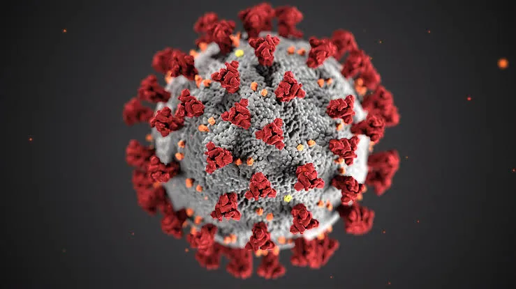 Jandaia do Sul confirma mais 17 casos de coronavírus
