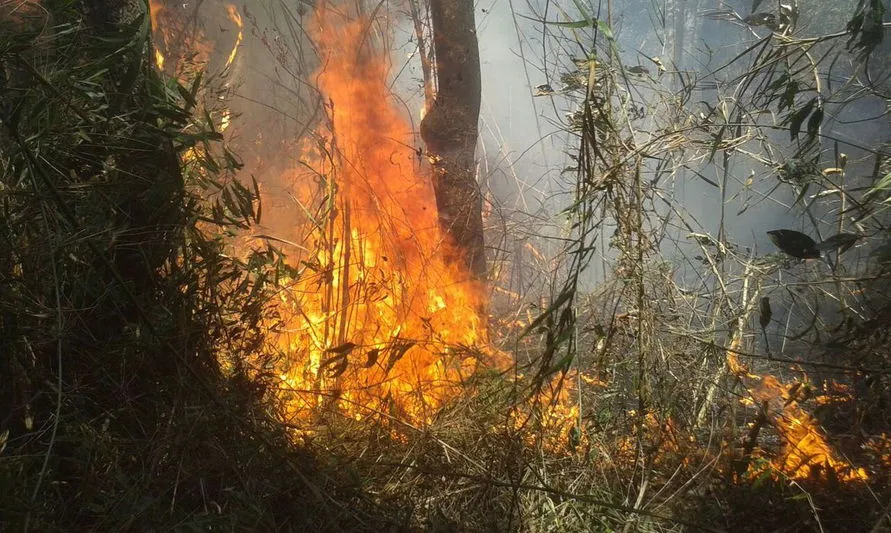 Prossegue combate a incêndio florestal na Serra dos Órgãos