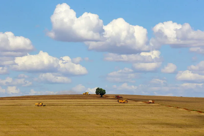 Boletim destaca Valor Bruto da Produção agropecuária paranaense