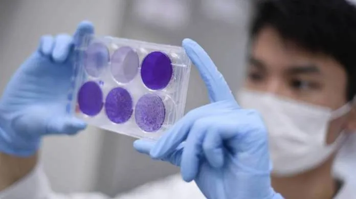 Vacina da Sinopharm produz anticorpos em testes clínicos, aponta estudo
