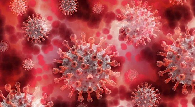 Arapongas registra mais uma morte por coronavírus e 31 novos casos