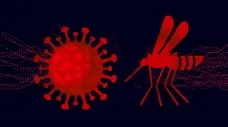 Maringaense se recupera de dengue e covid ao mesmo tempo