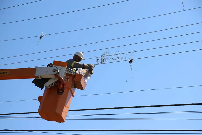 Copel promove mutirão de limpeza nas redes elétricas