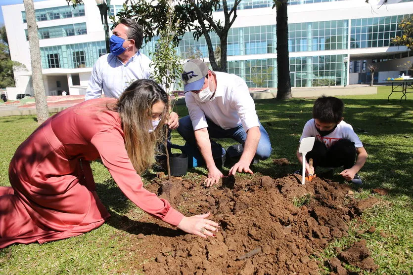 Floresce Paraná celebra o voluntariado com mudas de manacá-da-serra