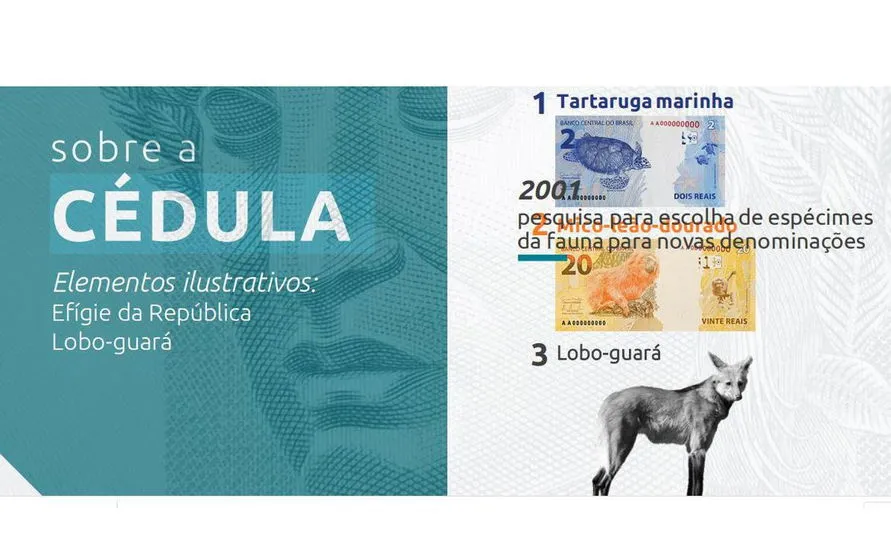 Cédula de R$ 200 entra em circulação nesta quarta-feira