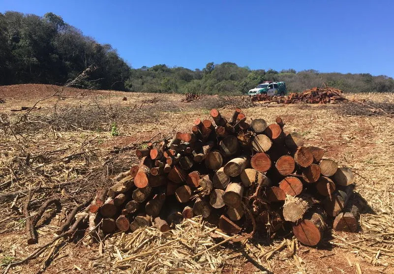 Dono de sítio é multado em R$ 13 mil por danos em área de preservação