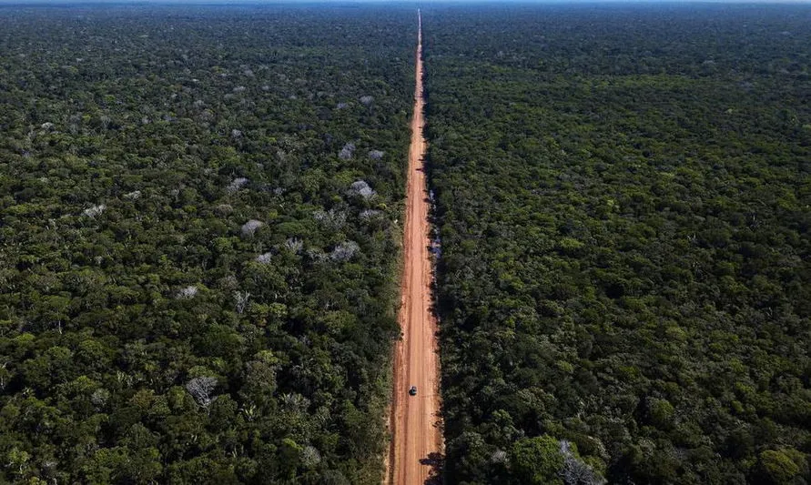 Capes divulga selecionados para programa de pesquisa na Amazônia Legal