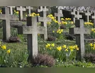 OBITUÁRIO