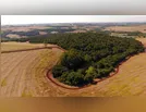 Ivaiporã realizará oficina de planejamento do plano de manejo da Estação Ecológica Faian
