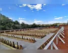 Sanepar