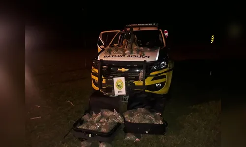 PRE apreende 19 kg de maconha no bagageiro de ônibus