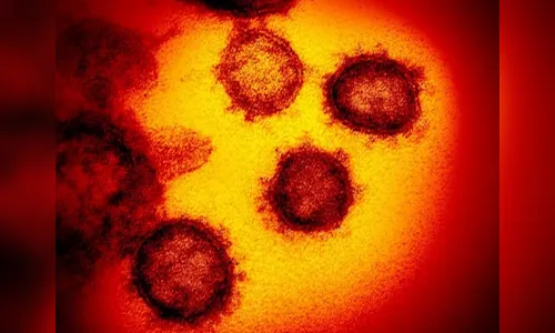 OMS confirma caso de influenza A H1N2 com potencial pandêmico no Paraná