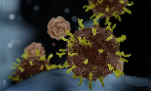 São Pedro do Ivaí confirma primeiro óbito por Covid-19 no município