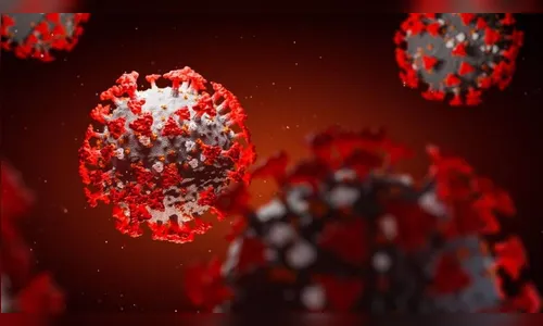 Apucarana confirma mais 4 casos de coronavírus neste domingo