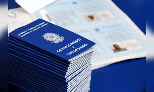 Veja as vagas de emprego da semana em Arapongas