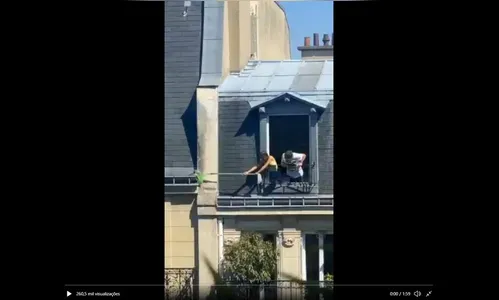 Resgate de gato em Paris vira 'atração' e narração brasileira viraliza; assista