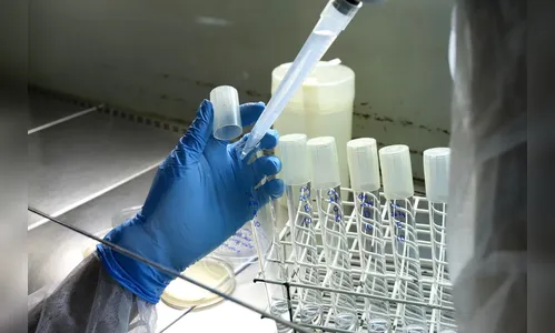 Tecpar busca parceria para produção de canabinoides