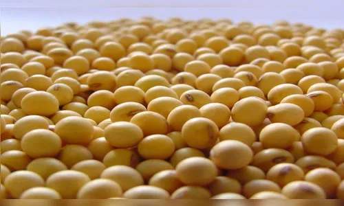 Sessenta sacas de soja são furtadas em Mauá da Serra