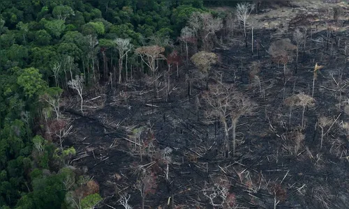 Decreto proíbe queima controlada na Amazônia e no Pantanal por 4 meses