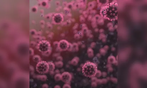 Brasil chega a 2 milhões de casos acumulados de covid-19