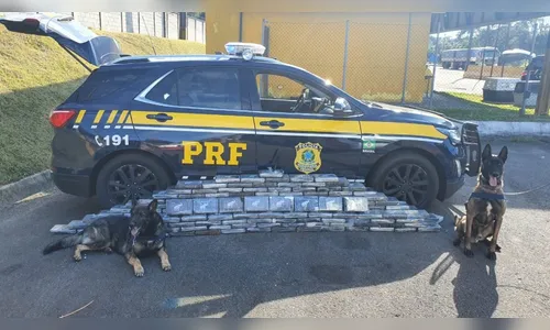 Com o auxílio de cães farejadores PRF apreende quase 200 quilos de cocaína