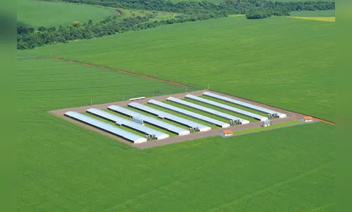 Descomplica Rural ajuda a manter atividades no campo durante a crise