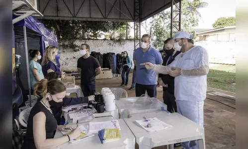 Mutirão castra 151 animais gratuitamente em Cambira