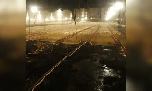 Incêndio na madrugada atinge granja em Arapongas