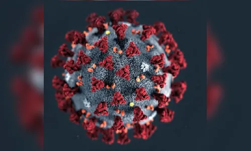 Um hospital de Maringá e outro de Sarandi atingiram 100% de ocupação