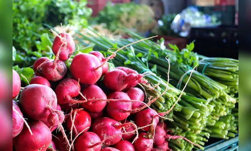 Paraná lidera adesões a sistema de segurança alimentar e nutricional