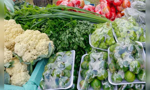 Feira do produtor volta a funcionar dois dias por semana