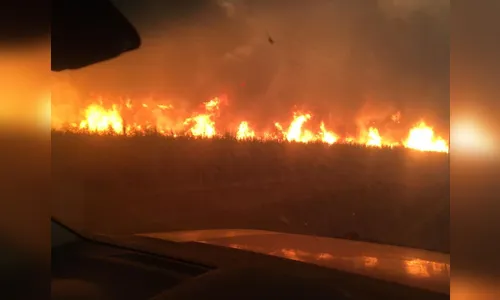 MP pede suspensão da queimada da cana-de-açúcar por um mês