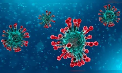 Arapongas tem mais dois óbitos e 33 novos casos de Covid-19