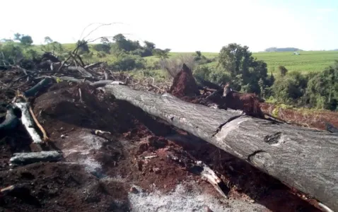 Propriedades rurais na região são autuadas em mais R$ 100 mil por desmate