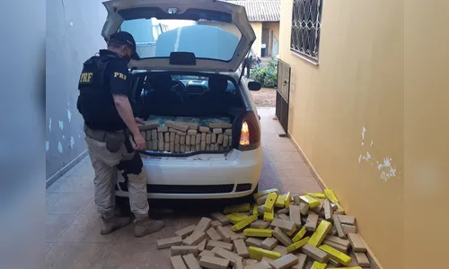 PRF prende motorista com grande quantidade de maconha em Rolândia; assista