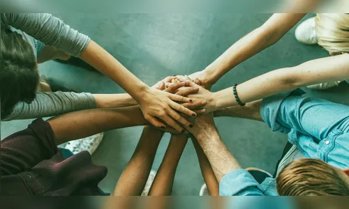 As Empresas e os Arranjos Produtivos Locais
