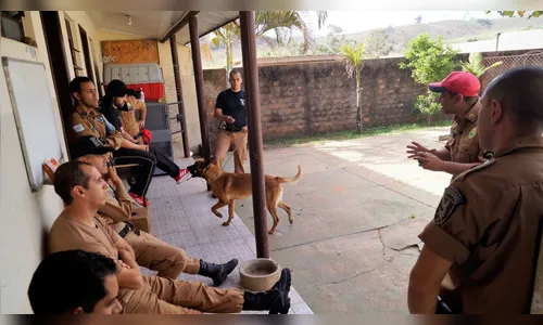 Integrantes de Canis Setoriais participam de instrução de faro de drogas e armas