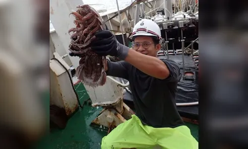 Cientistas encontram 