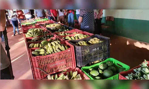 Assentamento Dorcelina Folador doa mais de 9 toneladas de alimentos em Arapongas