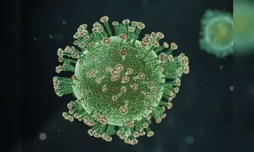 Arapongas confirma mais duas mortes por coronavírus e 48 novos casos