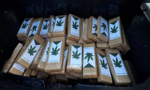 Polícia apreende 70 toneladas a mais de drogas no primeiro semestre