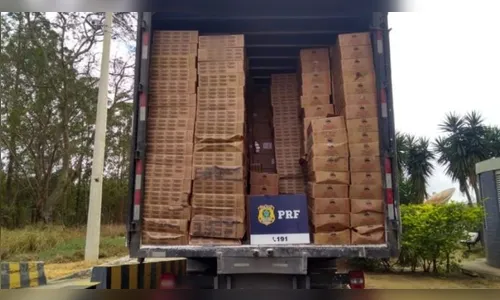 183 toneladas de cigarros apreendidos em MS serão destruídos em Foz