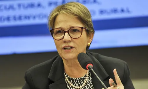 Força-tarefa ajudará na regularização fundiária da Amazônia Legal