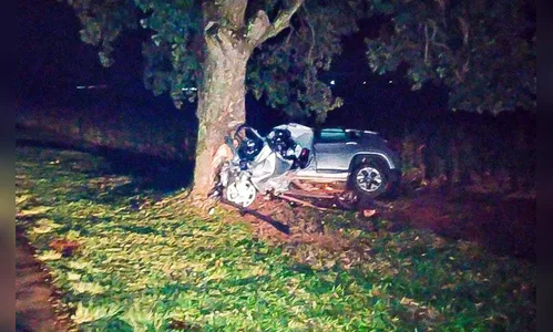 Homem de 41 anos morre após colidir contra árvore na PR-445