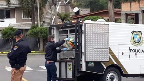 Trabalhador encontra cabeça humana em saco de ração em Curitiba