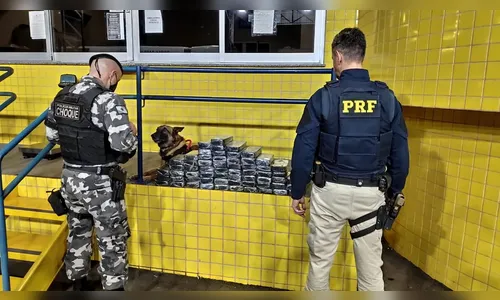 PRF apreende carregamento de pasta base de cocaína em Mandaguari