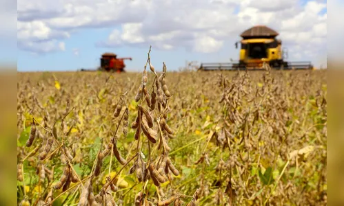 Paraná vai colher mais de 41 milhões de toneladas de grãos